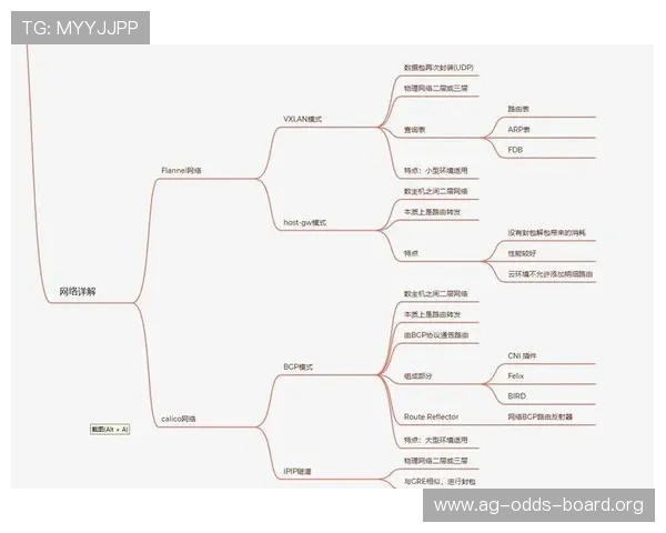 深入解析K8视讯安全策略如何有效防范网络攻击保障平台稳定运行
